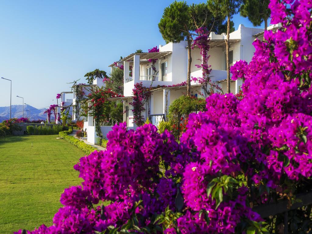 Sunset Mavi Villa Turgutreis Buitenkant foto