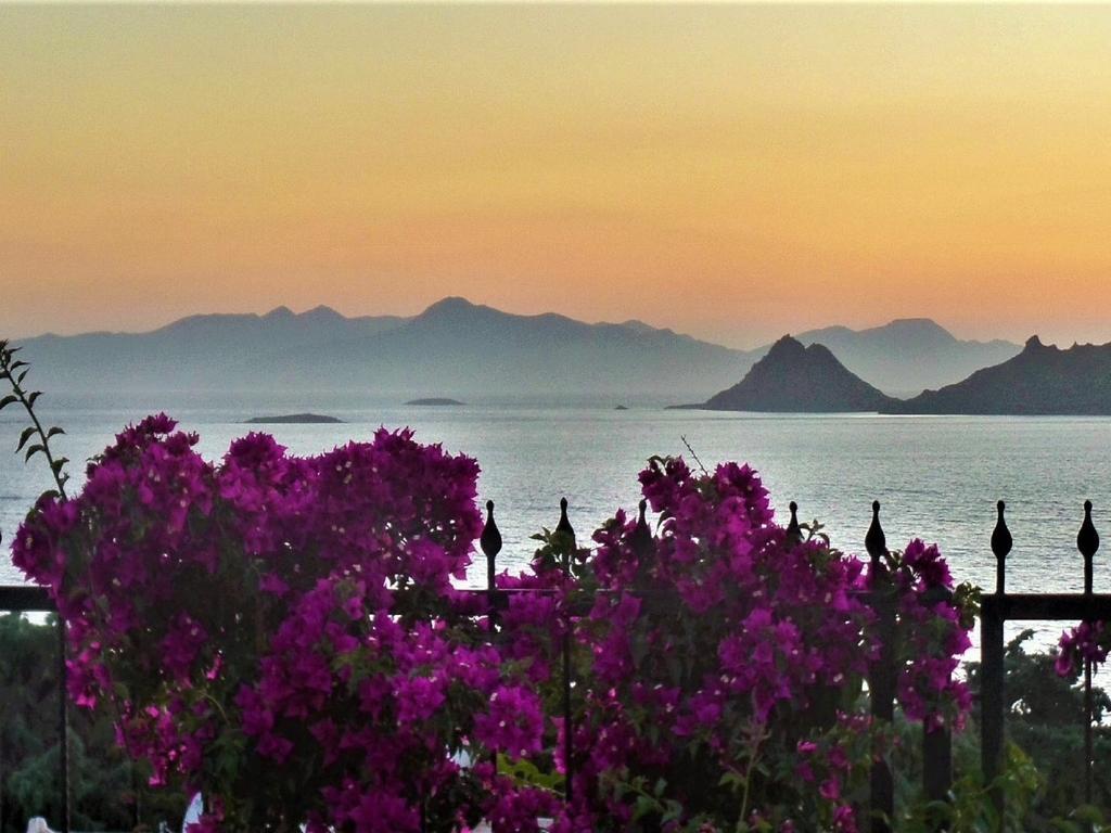 Sunset Mavi Villa Turgutreis Buitenkant foto