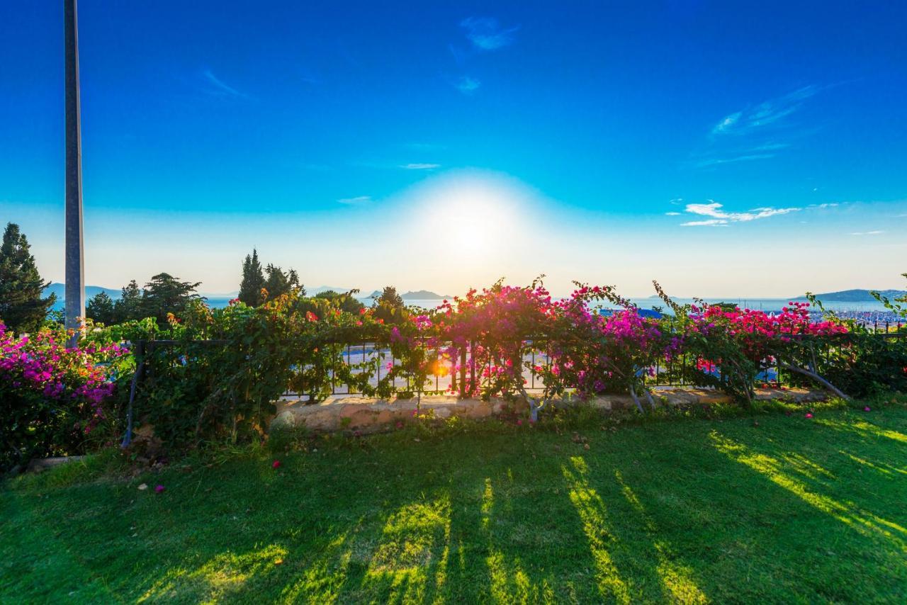 Sunset Mavi Villa Turgutreis Buitenkant foto